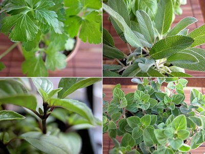 How To Use Fresh Herbs In A Variety Of Ways